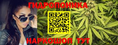 гидропоника Гусиноозёрск