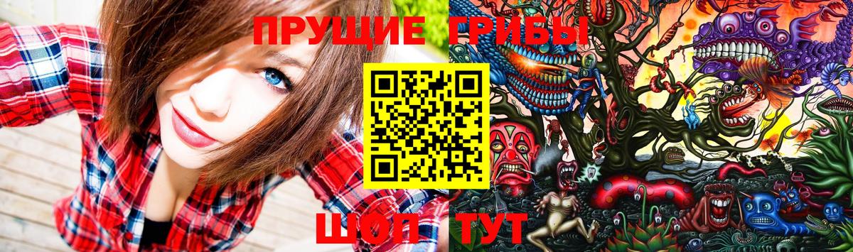 Псилоцибиновые грибы MAGIC MUSHROOMS  Псилоцибиновые грибы прущие грибы  Вход с VPN  Ступино 