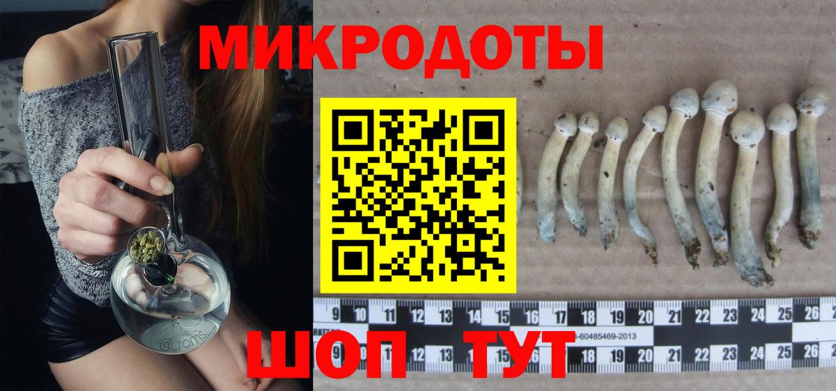 Псилоцибиновые грибы мицелий Ступино